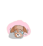 Yorkie！Yorkie！（個別スタンプ：7）