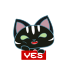 暴れ猫-booli cat（個別スタンプ：40）