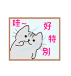 Gray cat(Wink articles)（個別スタンプ：17）