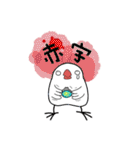 Java sparrow from TAIWAN（個別スタンプ：2）