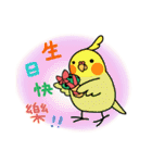 Java sparrow from TAIWAN（個別スタンプ：21）