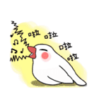 Java sparrow from TAIWAN（個別スタンプ：39）