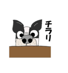 らぶらぶ ふれんちぶるどっぐ（個別スタンプ：20）