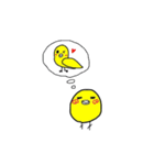 ほんわか、とりさんスタンプ（個別スタンプ：16）