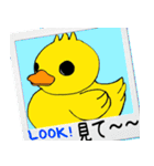 あひるちゃん！（個別スタンプ：20）