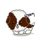 Kaitoon cute dog（個別スタンプ：1）