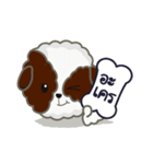 Kaitoon cute dog（個別スタンプ：19）