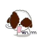 Kaitoon cute dog（個別スタンプ：31）