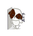 Kaitoon cute dog（個別スタンプ：39）