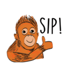 Baby Orangutan (Indonesian)（個別スタンプ：7）