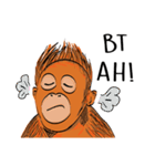 Baby Orangutan (Indonesian)（個別スタンプ：9）