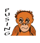 Baby Orangutan (Indonesian)（個別スタンプ：13）
