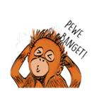 Baby Orangutan (Indonesian)（個別スタンプ：23）