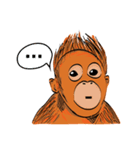 Baby Orangutan (Indonesian)（個別スタンプ：32）
