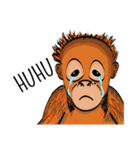 Baby Orangutan (Indonesian)（個別スタンプ：34）
