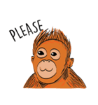 Baby Orangutan (Indonesian)（個別スタンプ：40）