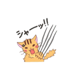 ねこだって（個別スタンプ：29）
