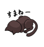 ブラックねこ（個別スタンプ：5）