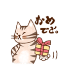 シマシマもくじ猫（個別スタンプ：3）