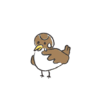 ゆるいことわざ（個別スタンプ：11）