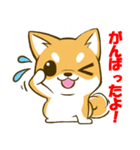 しばたん 柴犬 日本犬（個別スタンプ：8）
