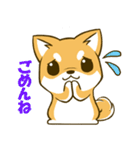 しばたん 柴犬 日本犬（個別スタンプ：10）
