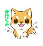 しばたん 柴犬 日本犬（個別スタンプ：20）