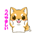 しばたん 柴犬 日本犬（個別スタンプ：34）