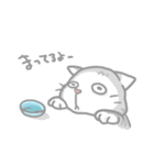 ねこのペコたん（個別スタンプ：10）