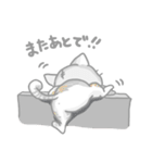 ねこのペコたん（個別スタンプ：11）