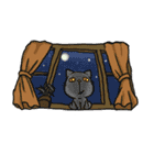 ねこのペコたん（個別スタンプ：38）