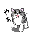 モフれょ 1（個別スタンプ：2）