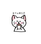 ねこアンドうさ（個別スタンプ：5）