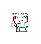 ねこアンドうさ（個別スタンプ：12）