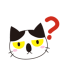 Meow, Pibo ！（個別スタンプ：27）