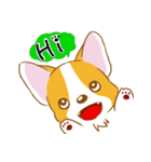 Corgi-Guei（個別スタンプ：1）