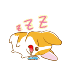 Corgi-Guei（個別スタンプ：5）