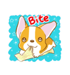 Corgi-Guei（個別スタンプ：6）