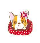 Corgi-Guei（個別スタンプ：11）