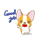 Corgi-Guei（個別スタンプ：16）