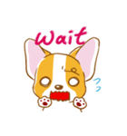 Corgi-Guei（個別スタンプ：18）