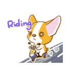 Corgi-Guei（個別スタンプ：33）