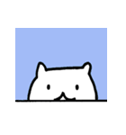 しろぷく（個別スタンプ：37）