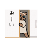 みゃすけ（個別スタンプ：1）