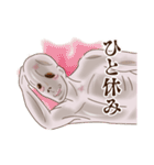 Zさん（個別スタンプ：13）
