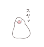 小鳥うさぎ2（個別スタンプ：37）