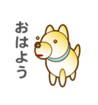 柴山犬太（個別スタンプ：1）