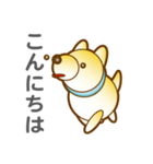 柴山犬太（個別スタンプ：2）