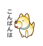 柴山犬太（個別スタンプ：3）