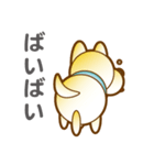 柴山犬太（個別スタンプ：4）